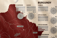 Taste the great wines of France from Champagne, Alsace and Burgundy