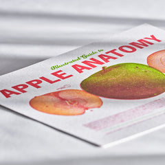 Letterpress Print of Apple Anatomy