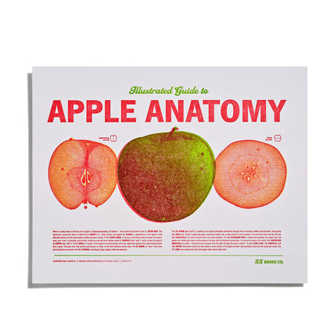 Illustrated Guide to Apple Anatomy Letterpress Print