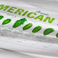 Detail of Letterpress Hop Print