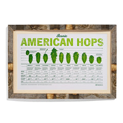 Iconic American Hop Varieties Letterpress Print