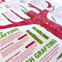 A Visual Guide to Grafting Letterpress Poster