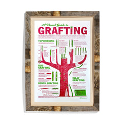 A Visual Guide to Grafting Letterpress Poster
