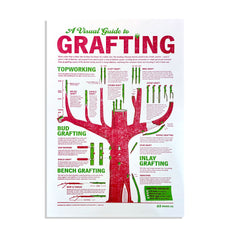 A Visual Guide to Grafting Letterpress Poster