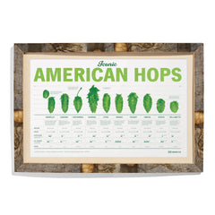 Hop Poster framed with Beer Barrel Staves