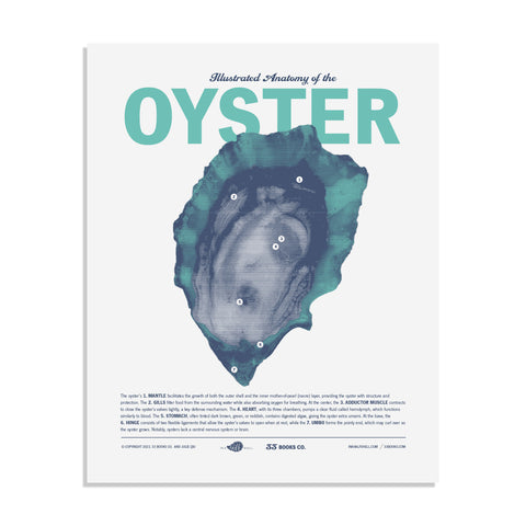 Illustrated Anatomy of the Oyster Letterpress Print