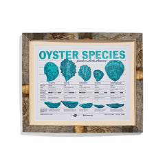 Framed Oyster Print