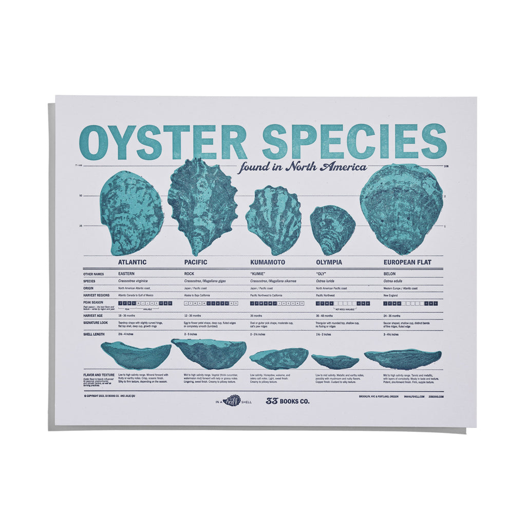 Oyster Species of North America Wall Print