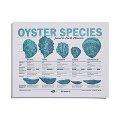 Oyster Species of North America Wall Print