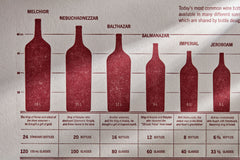 Mighty Melchior to Dimunitive Demi: Wine Bottle Size Guide