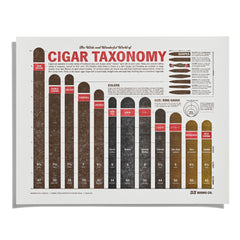 Cigar Taxonomy Letterpress Print