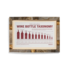 Wine Bottle Taxonomy Print